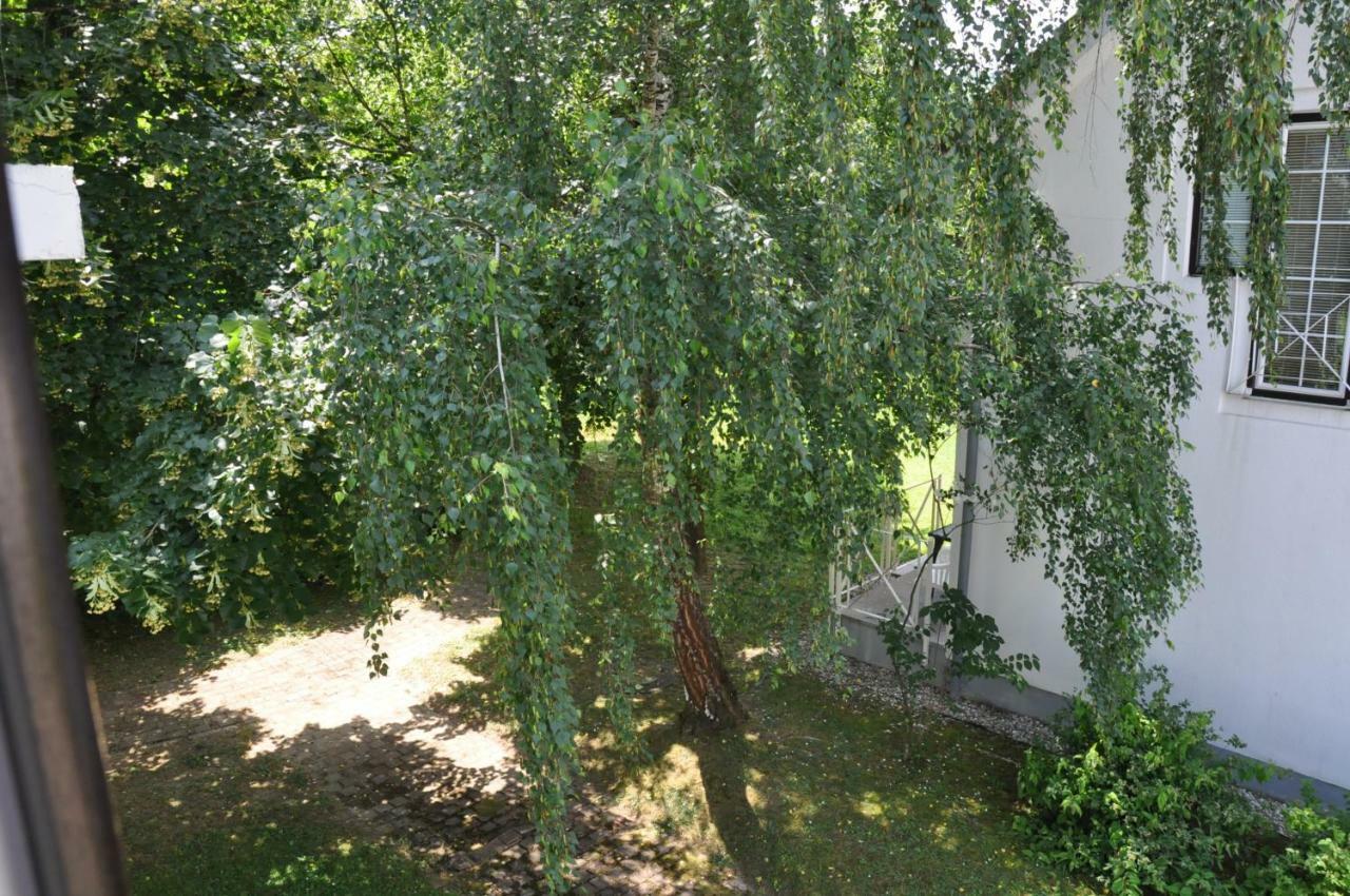 Apartment Vas Lipa 8 - 36 *